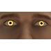 Wolf Eyes - Yellow (Male)